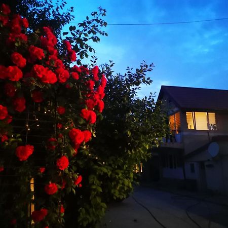 Cristalex Villaverde Bucharest Pantelimon Exteriör bild