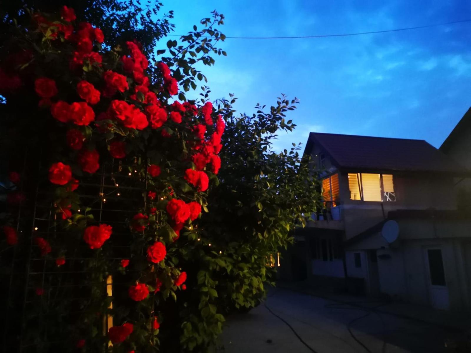 Cristalex Villaverde Bucharest Pantelimon Exteriör bild