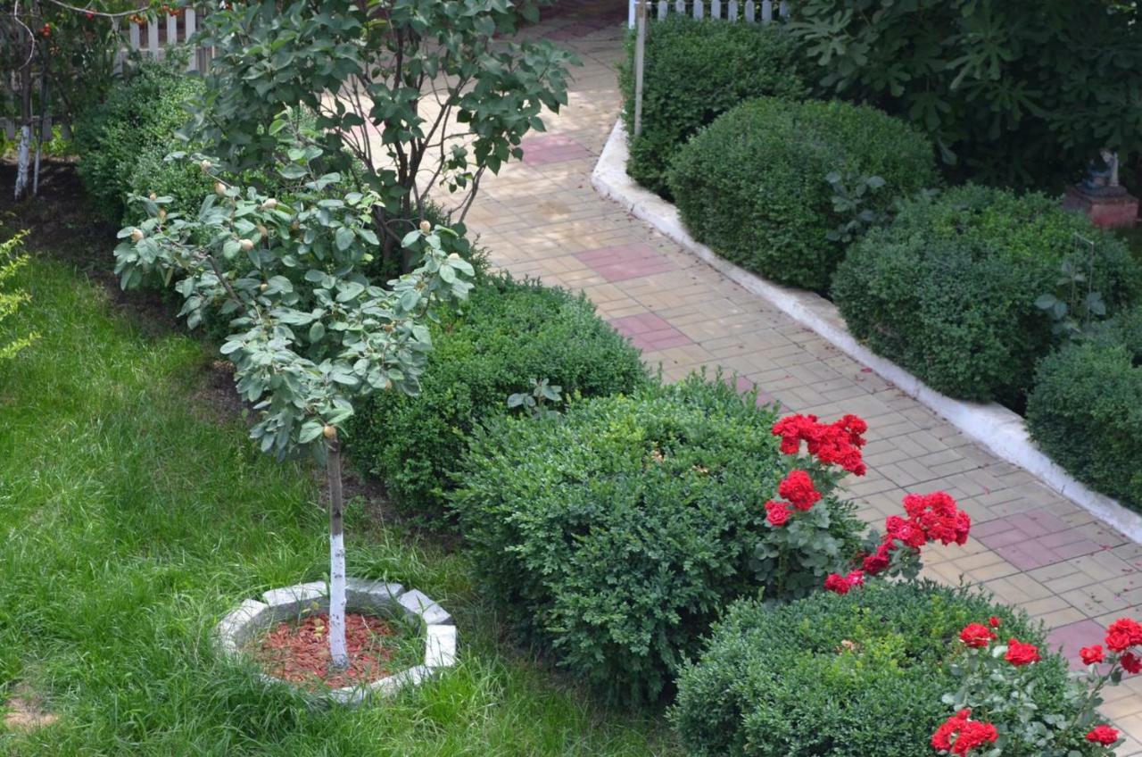 Cristalex Villaverde Bucharest Pantelimon Exteriör bild